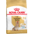Barība suņiem – Royal Canin Yorkshire Terrier Adult 8+, 1,5 kg