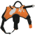 Postroj ZOLUX tažný oranžový L