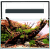 Аквариум – Aquael aquarium set Ultrascape 60 forest, 64.8 л