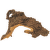 Dekoracia Tropical wood L