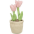 Hračka Trixie tulipán 27cm