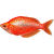 Aterínka lososová – Glossolepis incisus