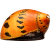 Neritina Zebra – Neritina paralella Colour