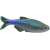 Tetra Fredcochuova - Boehlkea fredcochui