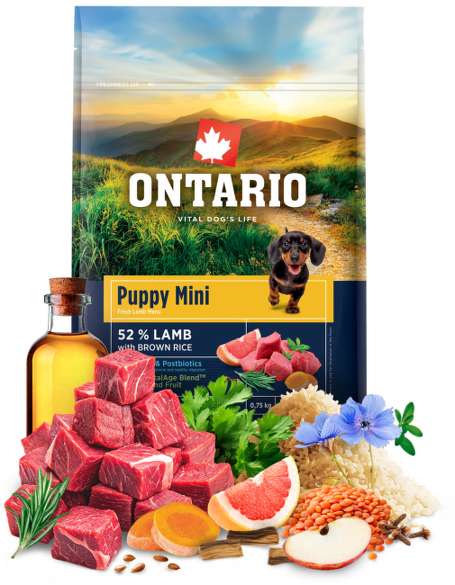 Корм для щенков – Ontario Puppy Mini, Lamb and Brown Rice, 0,75 кг