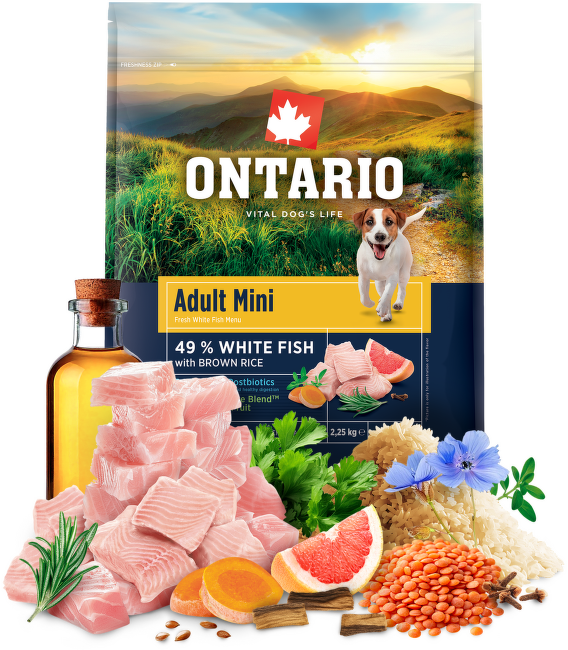 Ontario Adult Mini Fish & Brown Rice 2,25kg