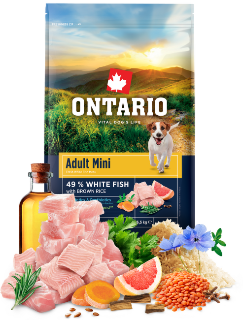 Ontario Adult Mini Fish & Brown Rice 6,5kg