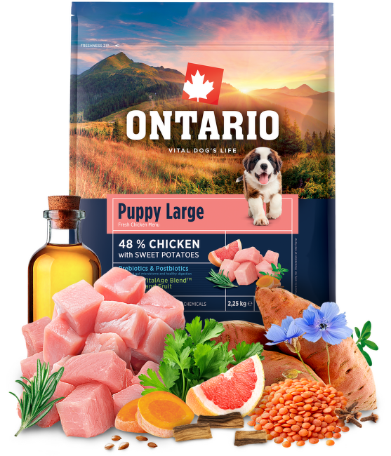 Ontario Puppy Large Chicken & Sweet Potatoes 2,25kg