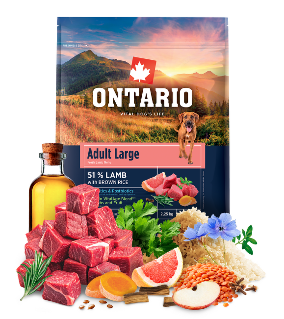 Ontario Adult Large Lamb & Brown Rice 2,25kg