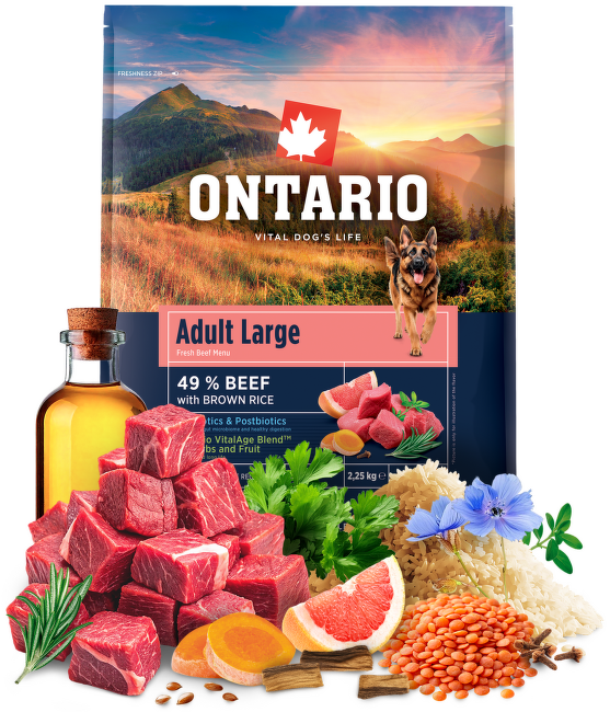 Корм для собак – Ontario Adult Large, Beef and Brown Rice, 2,25 кг