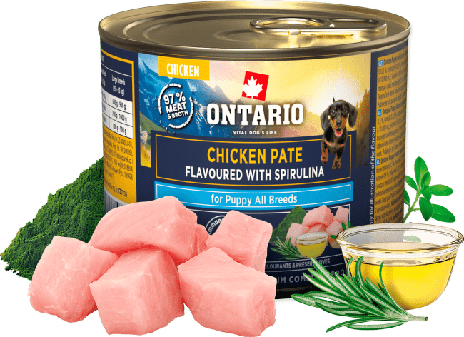 Konzerva Ontario Puppy kuřecí pate s příchutí spiruliny 200g