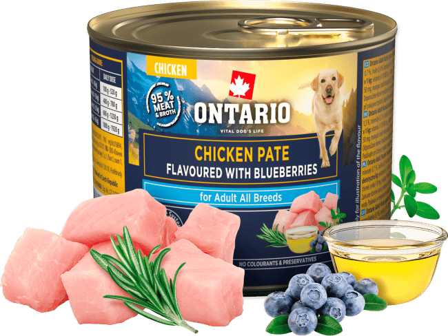 Konzerva Ontario Adult kuřecí pate s příchutí borůvek 200g