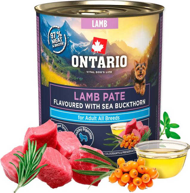 Konzerva Ontario Adult jehněčí pate s příchutí rakytníku 800g