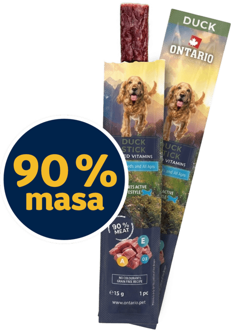 Tyčinka Ontario kachní 15 g