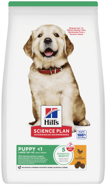 Hill´s Science Plan Canine Puppy Large Breed Chicken 14,5kg