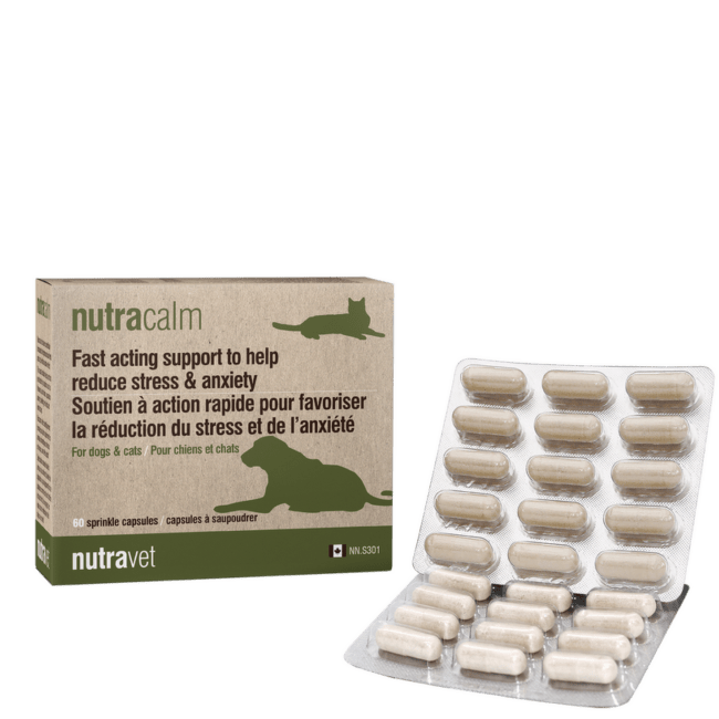 Пищевая добавка для собак и кошек – Nutravet Nutracalm N15