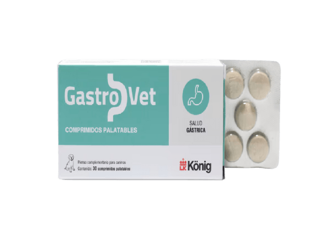 Papildbarība suņiem – Gastrovet N30
