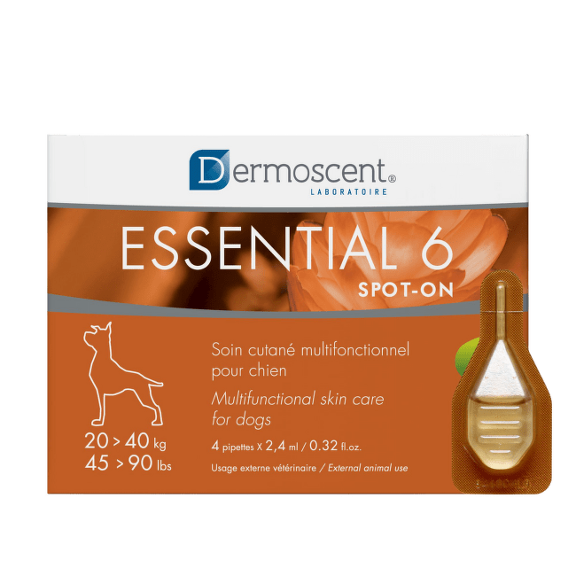 Ādas kopšanas līdzeklis suņiem – Dermoscent Essential 6, spot-on dogs 20–40 kg, 4 pipetes x 2,4 ml