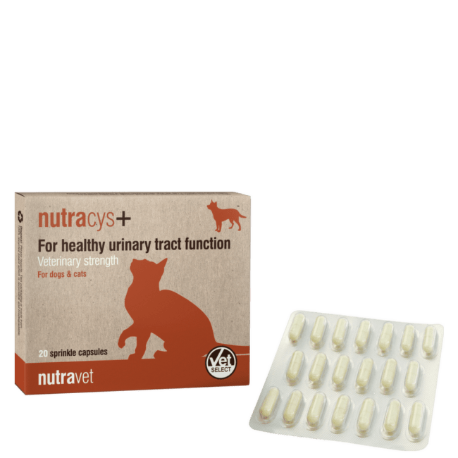 Пищевая добавка для собак и кошек – Nutravet Nutracys+ N20