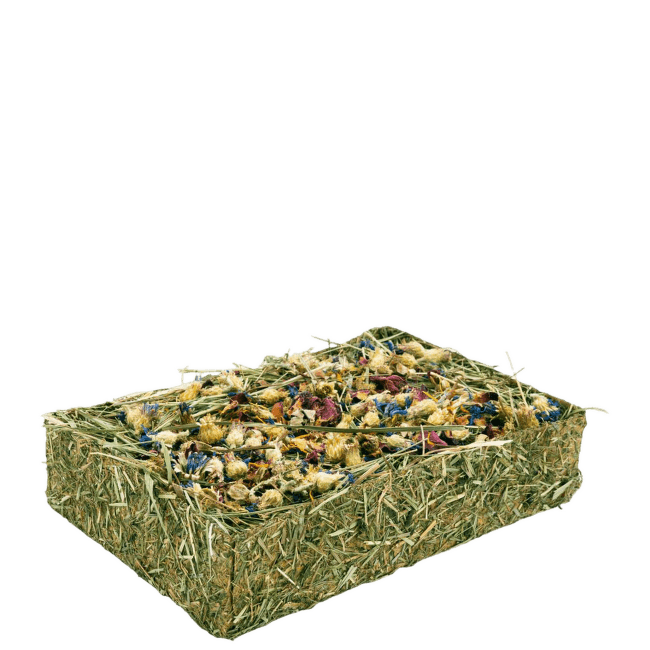 Gardums grauzējiem – JR FARM Hay-Tray with Flowers, 130 g