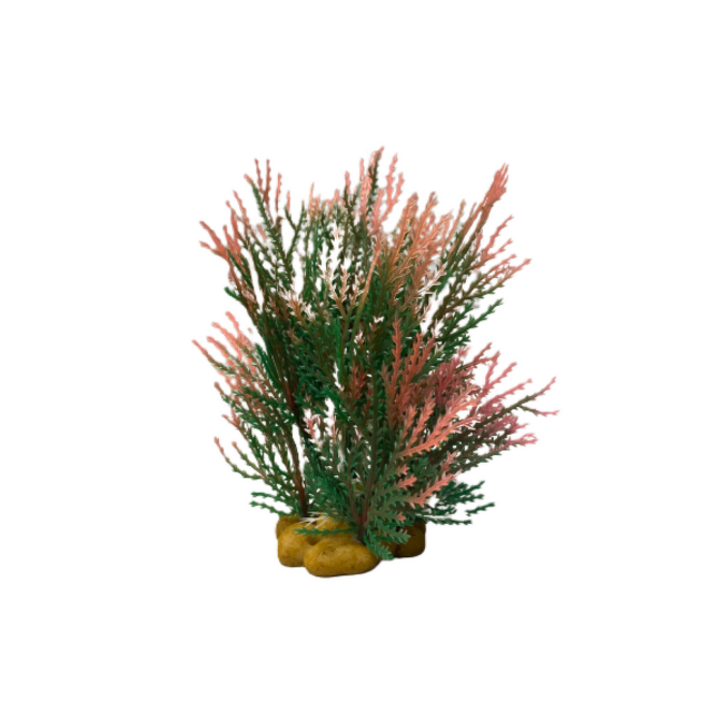 Dekoratīvs augs akvārijam – Aquatic Grass, Red/Green, 15 cm