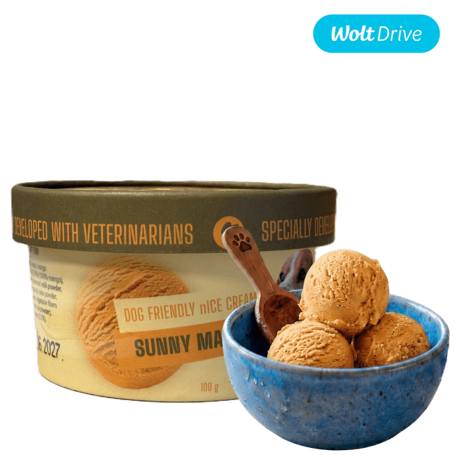 Мороженое для собак – JOY FOR TAILS, Sunny Mango, 100 г