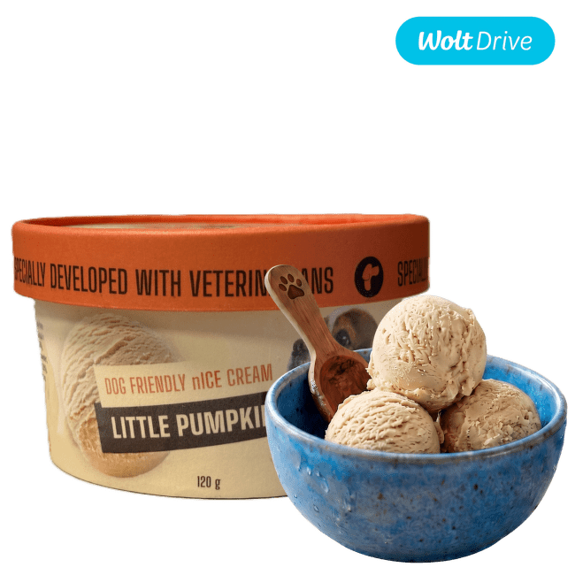 Saldējums suņiem – JOY FOR TAILS, Little Pumpkin, 120 g
