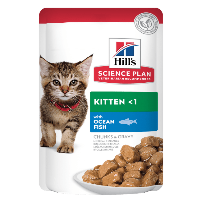 Консервы для котят – Hill's Science Plan Kitten, Ocean Fish, 85 г
