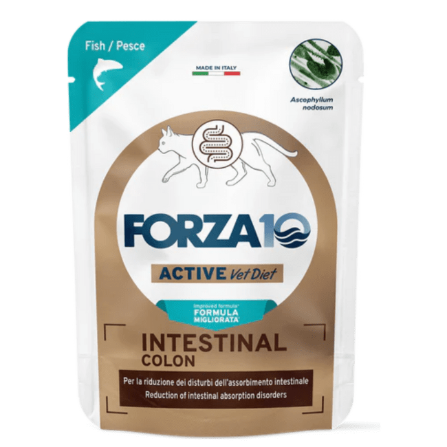 Veterinārie konservi kaķiem – Forza10 Active Line Intestinal Colon ActiW 100 g