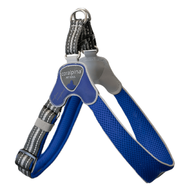 Krūšu siksna – Coralpina Cinquetorri Adjustable, blue S4