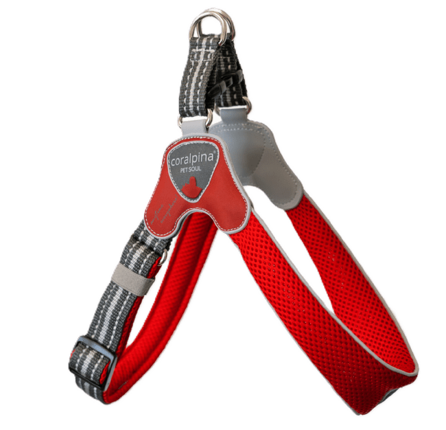 Krūšu siksna – Coralpina Cinquetorri Adjustable, red S7