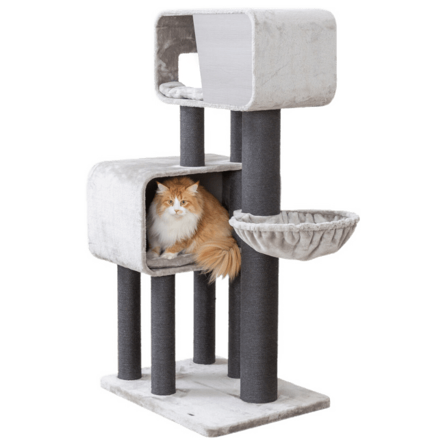 Mājiņa kaķiem – TRIXIE Rafael Scratching Post XXL, 156 cm, grey