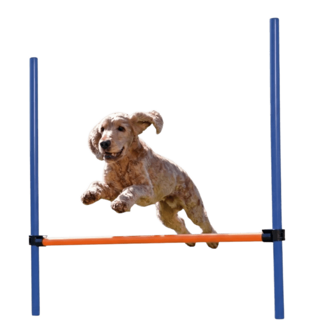 Adžiliti šķērslis suņiem – TRIXIE Dog Activity Agility Hurdle, 123 x 115 cm, Blue/Orange