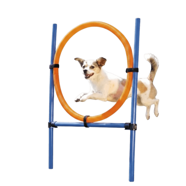 Аджилити обруч для собак – TRIXIE Dog Activity Agility Ring, 115 см, Blue/Orange