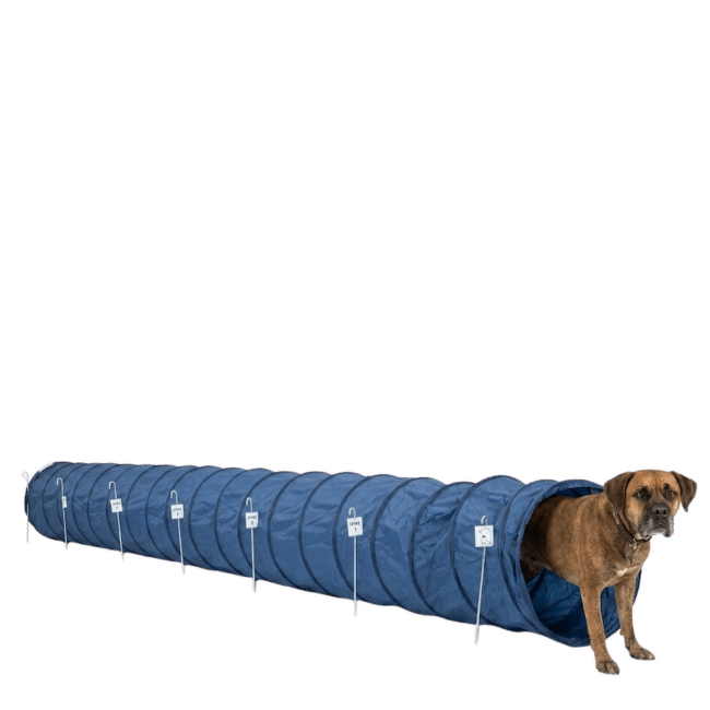 Аджилити туннель для собак – TRIXIE Dog Activity Agility Basic Tunnel, 60 см/5 м, Blue