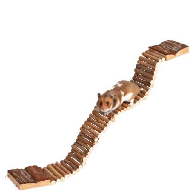 Лестница для грызунов – Trixie Natural Living ladder, 7 x 55 см