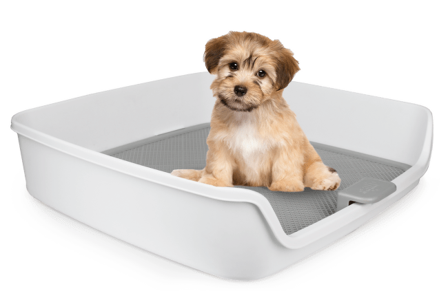 Tualete kucēniem – AFP Go Fresh Dog Pee Pad Holder, 63 x 63 x 15 cm