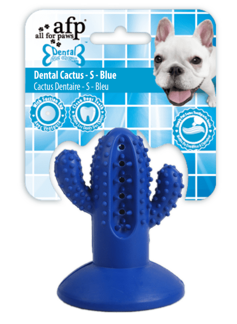 Игрушка для собак – AFP Dental Chews, Cactus Small Rubber, Blue
