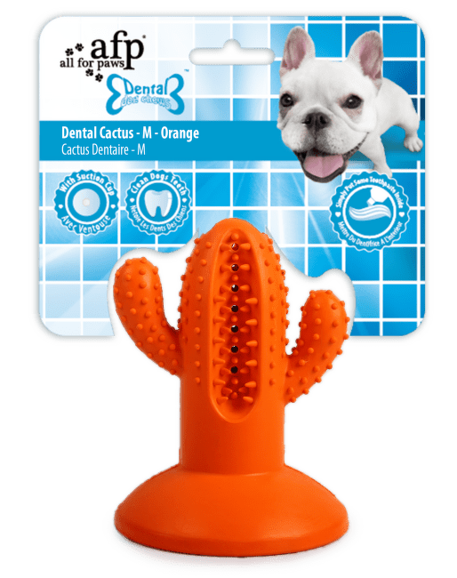 Rotaļlieta suņiem – AFP Dental Chews, Cactus Medium Rubber, Orange