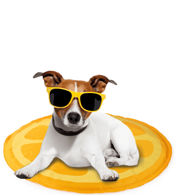 Охлаждающий коврик для животных – AFP, Chill Out Cooling Mat, Orange, 60 х 0,8 см