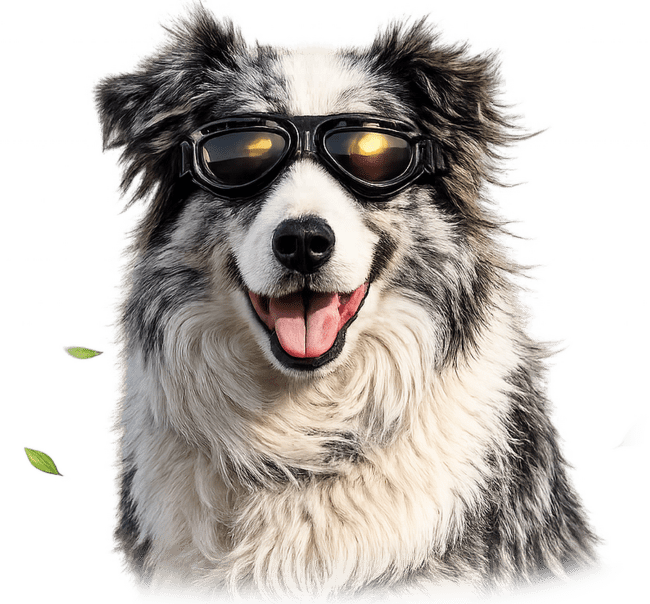 Brýle M-Pets Trailblazer pro psy