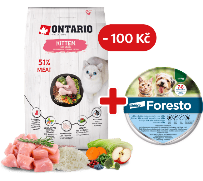 Ontario Kitten Chicken 6,5 kg + obojek Foresto pro kočky se slevou 100 Kč
