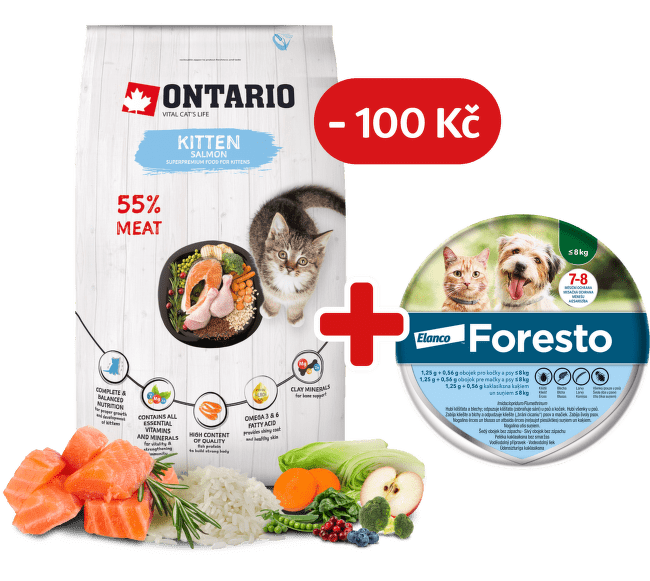 Ontario Kitten Salmon 6,5 kg + obojek Foresto pro kočky se slevou 100 Kč