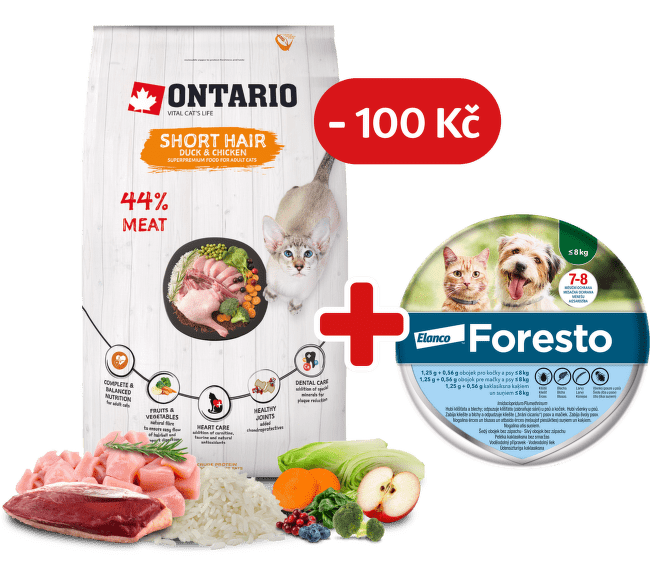 Ontario Cat Shorthair 6,5 kg + obojek Foresto pro kočky se slevou 100 Kč