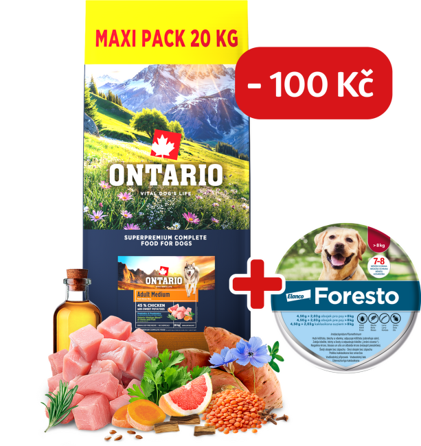 Ontario Adult Medium Chicken & Sweet Potatoes 20kg + obojek Foresto pro větší psy se slevou 100 Kč
