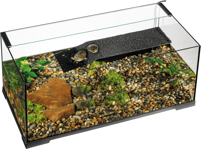 Terárium Exo Terra Turtle Haven pre vodné korytnačky