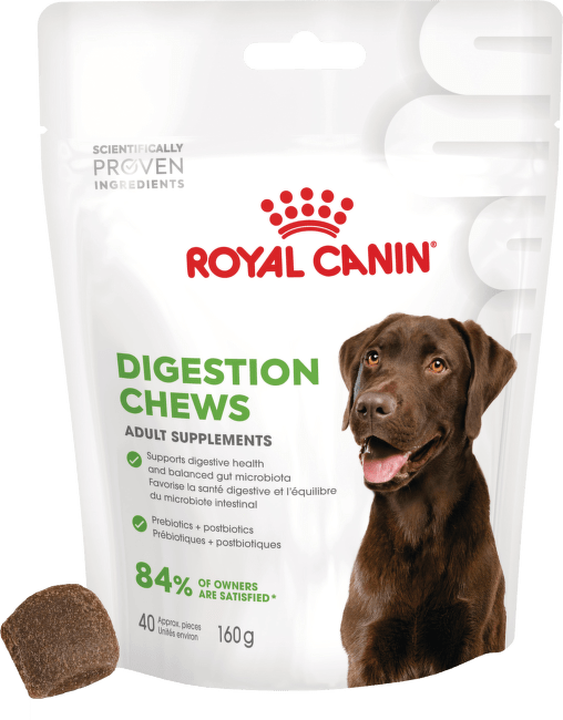 Gardums suņiem – Royal Canin Digestion Adult Dog Supplements, 160 g