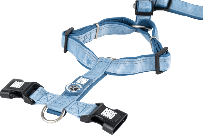 Postroj pro psy Max & Molly Sport Matrix 2.0 M oceánový