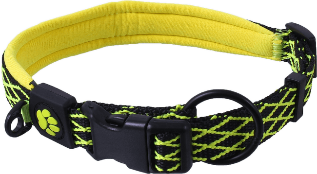 Ошейник для собак – Active Dog Collar Mystic S, 39–44 см, lime