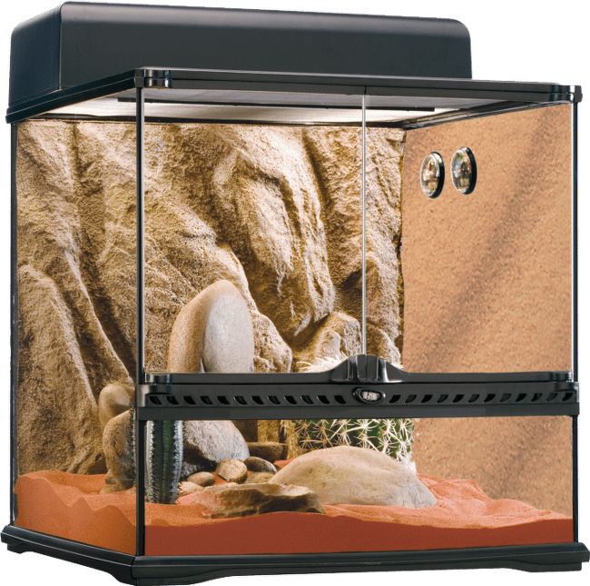 Terárium set EXO TERRA Desert Habitat M
